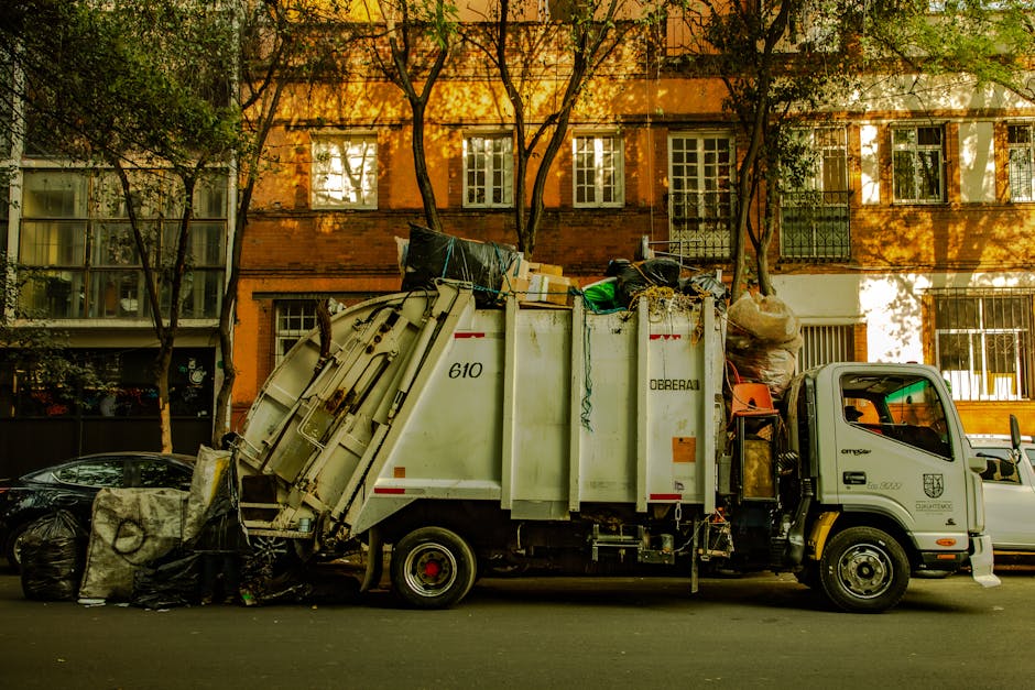 Emergency rubbish collection in Tooting same day options