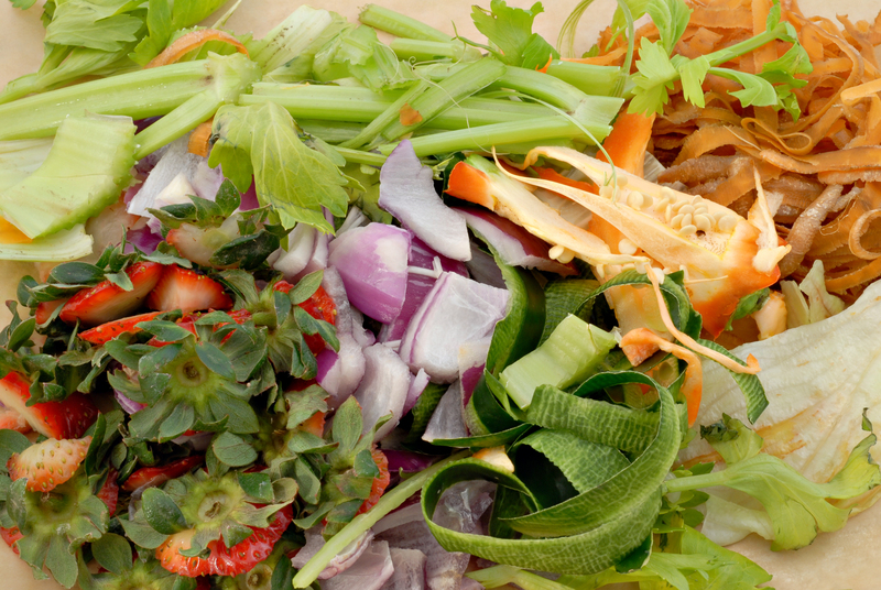 Engage Children in the Practices of Recycling