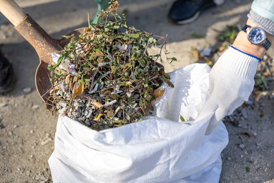 Tooting SW17 guide to same day rubbish removal services